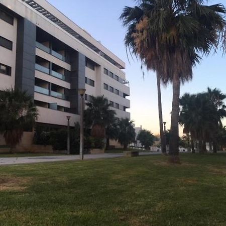 Gatu Premium El Vinedo, Centro, Parking, Aire Acc, Terraza Y Piscina Comun," Preferente Mayores De 25 Anos Y Familias " El Puerto de Santa Maria Ngoại thất bức ảnh